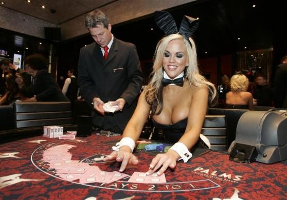 Casino Blackjack Dealer